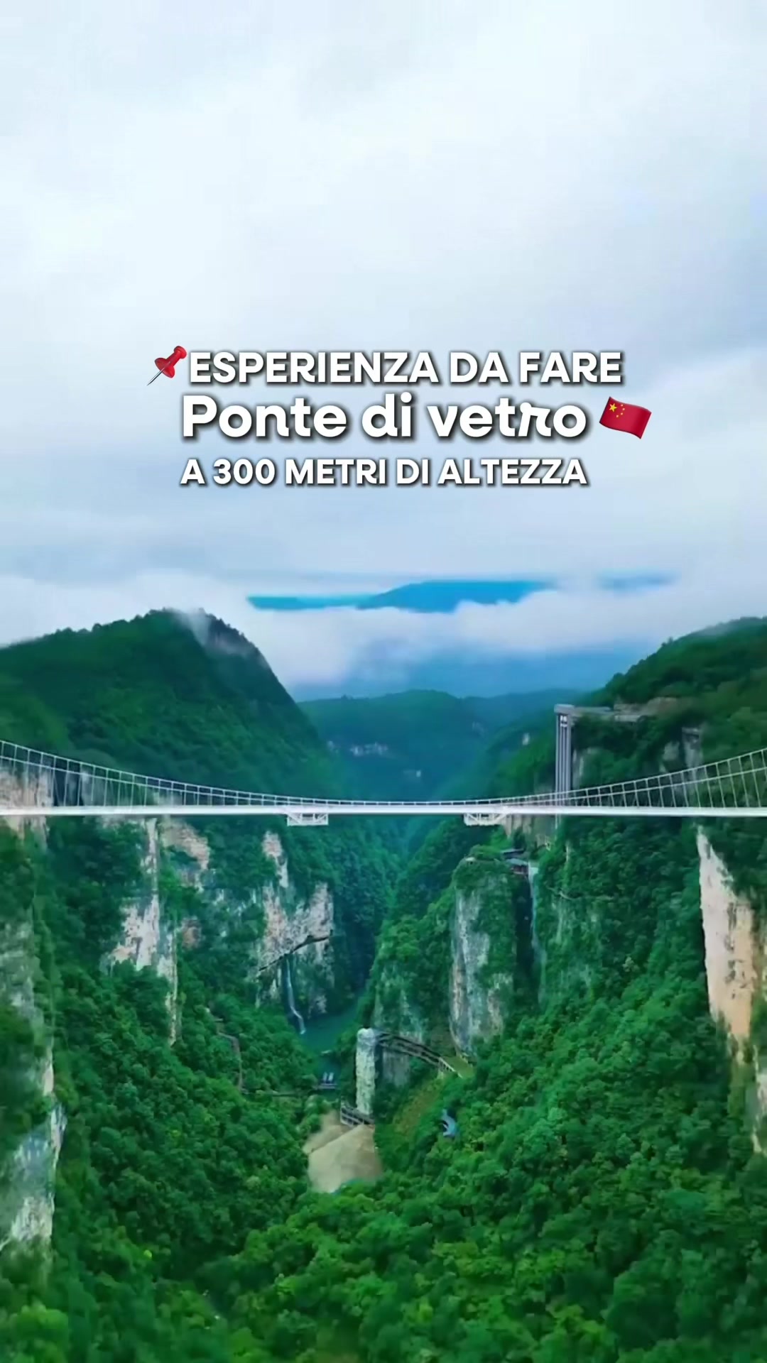 @Maria Paolucci