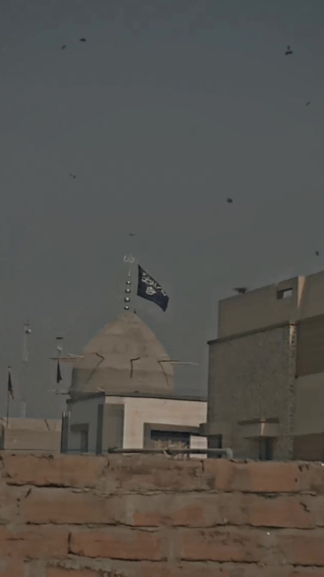 @شــــــاه ރ