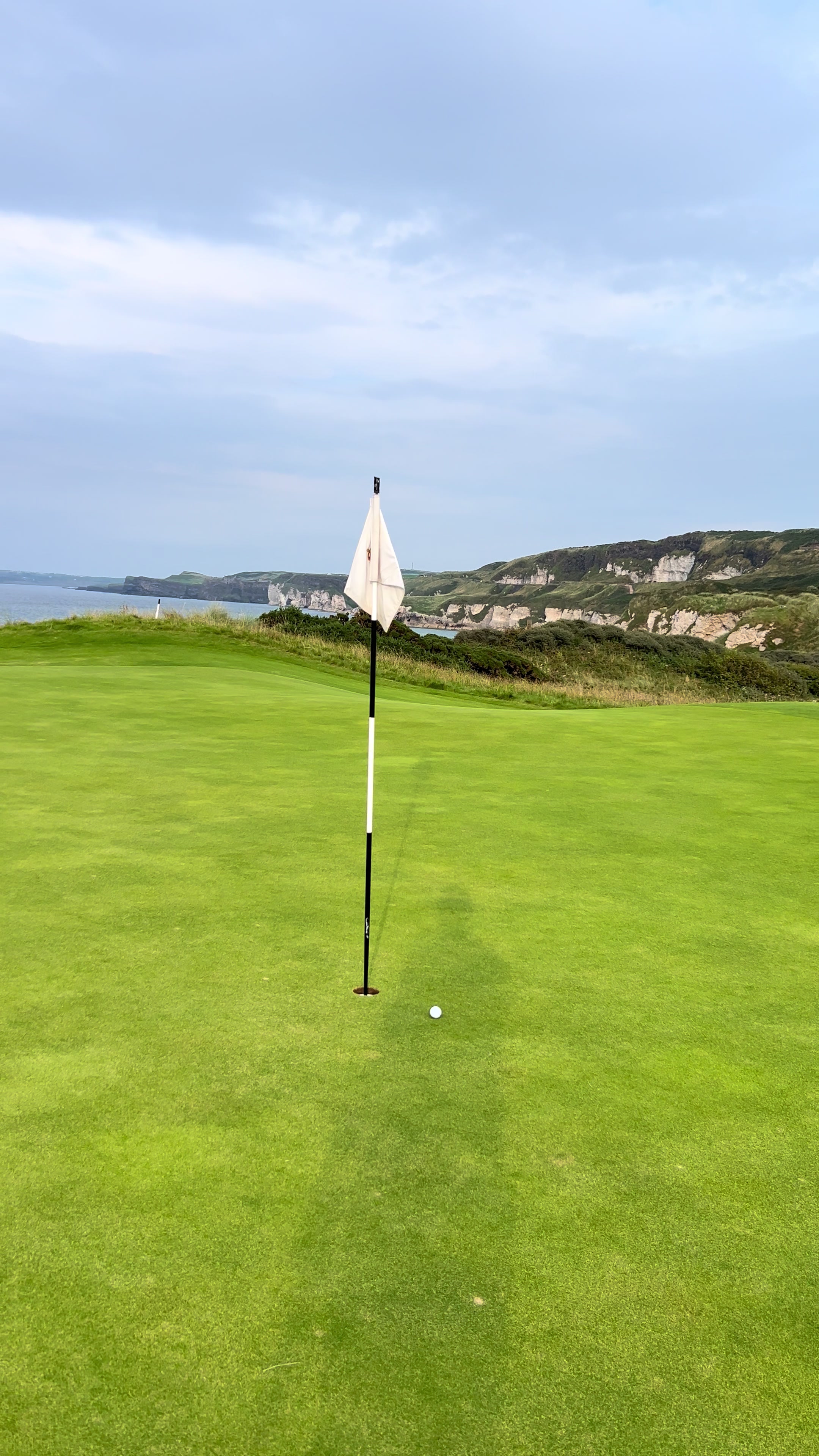 @Josh Rohdich | Golf | Business