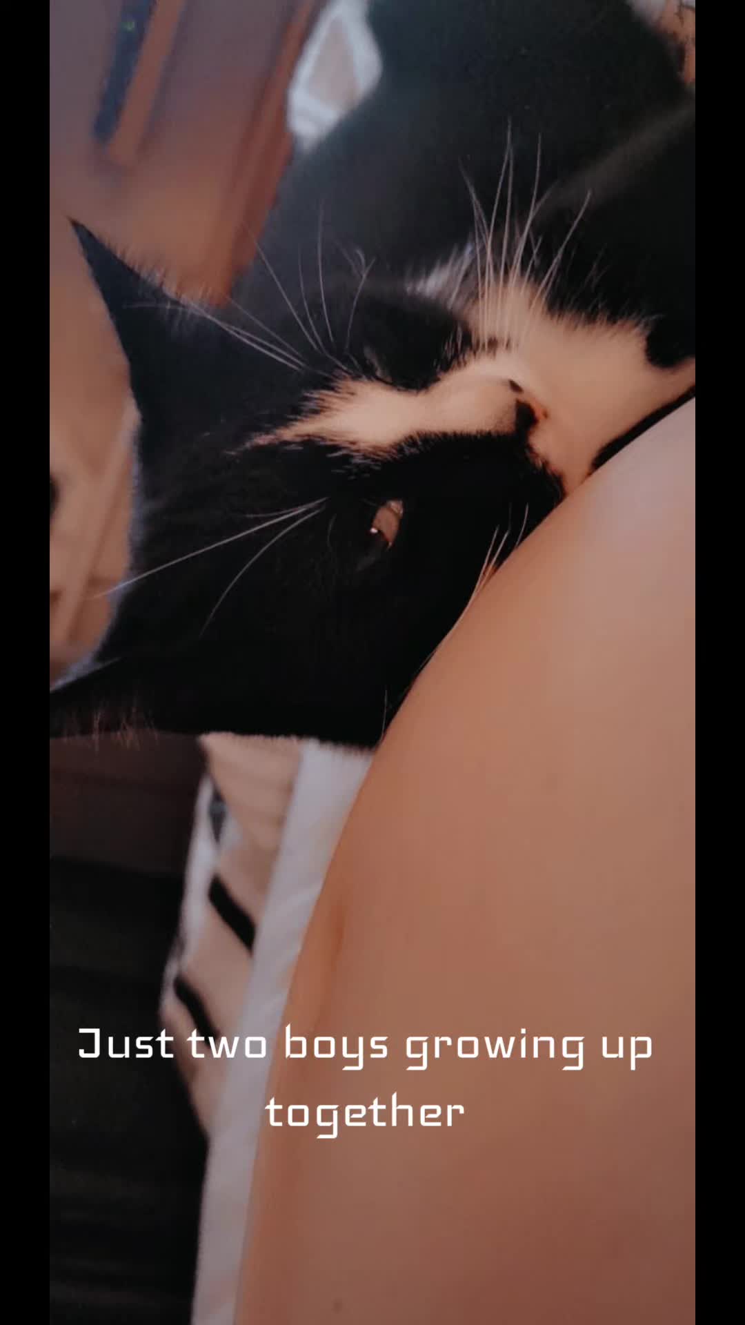 @chelseafox14