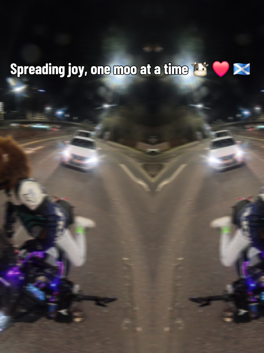 @Highland Cow Rider 🐮🏍