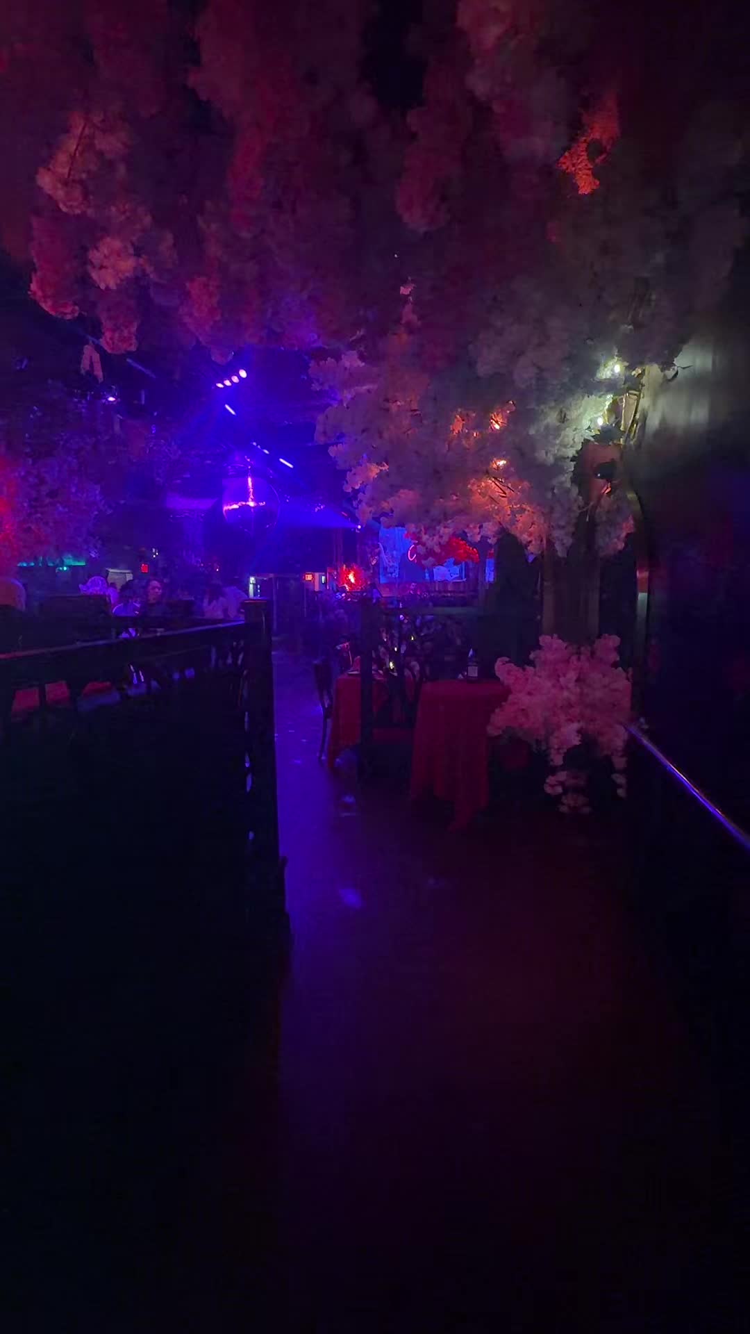 @Blue Butterfly 🦋🦋