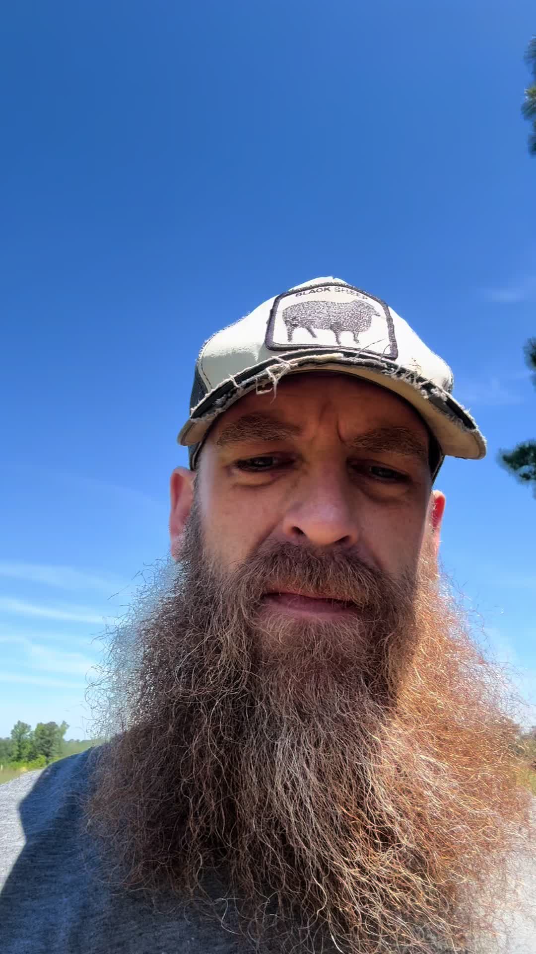 @Bearded bee man