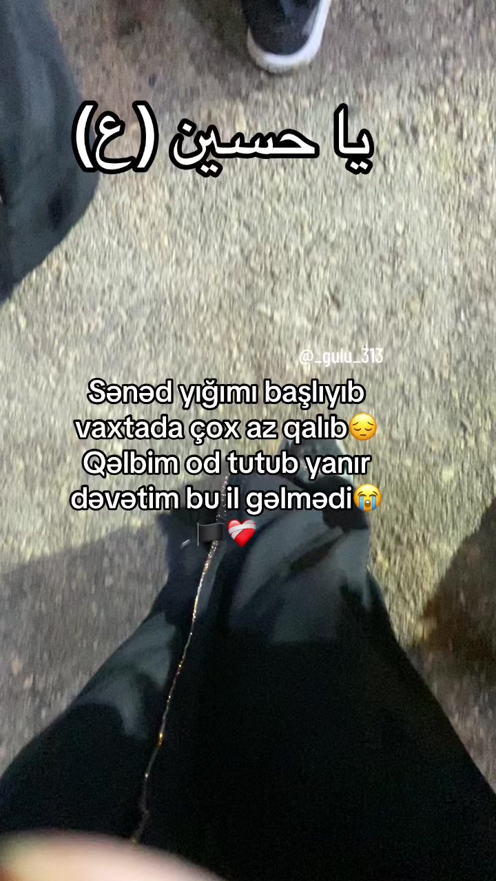 @_gulu_313