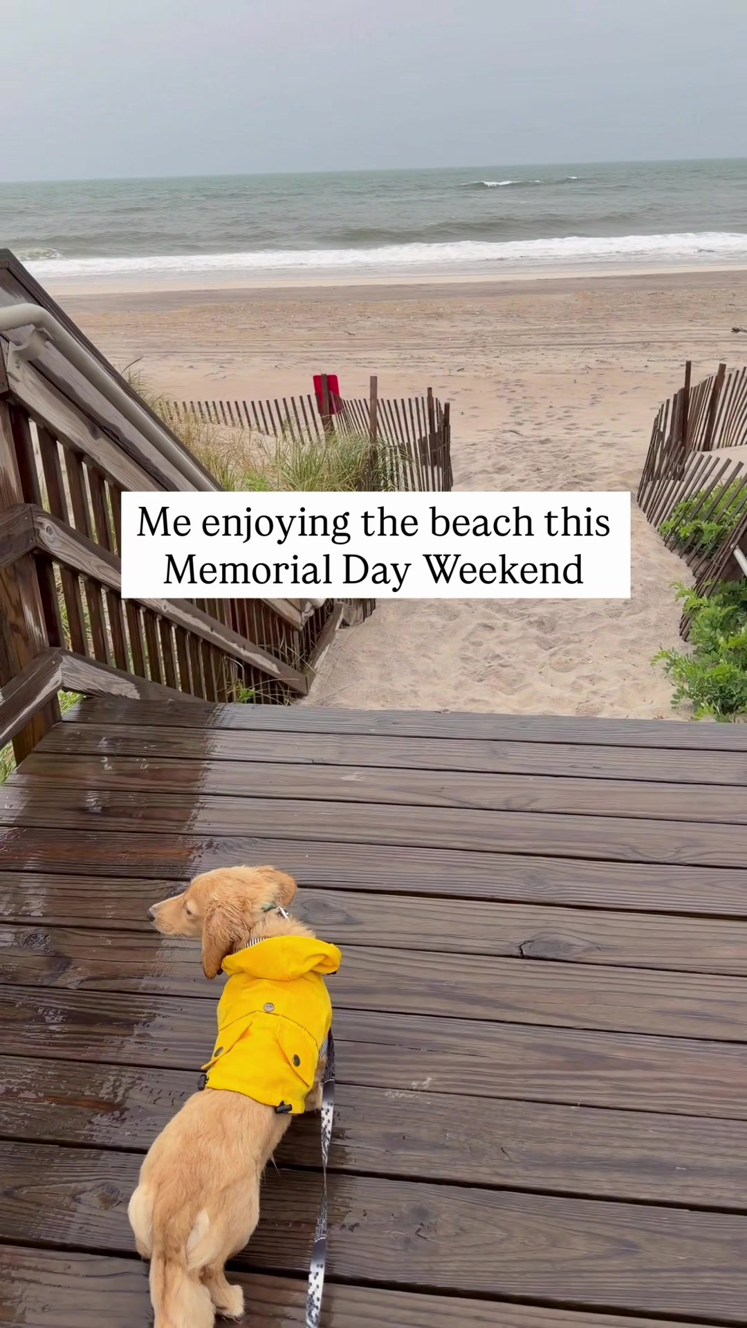 @longislandwiseguy