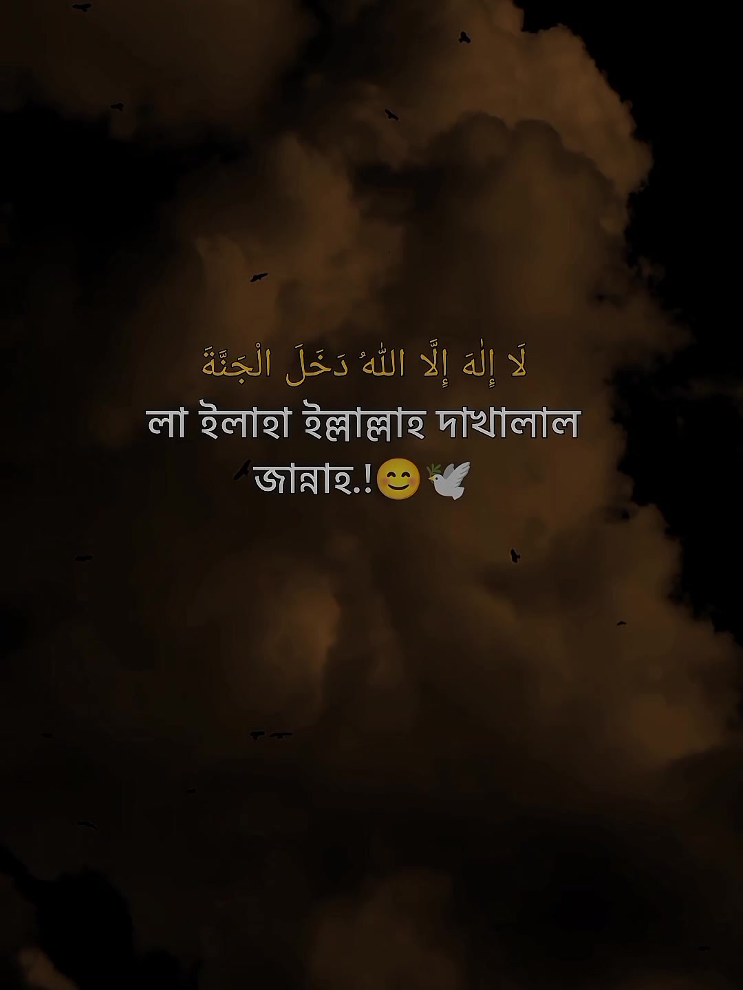 @—͞𝐘𝐨𝐮𝐫 Ꭱɪ֟፝ᴅᴏʏ 🕸️🥂
