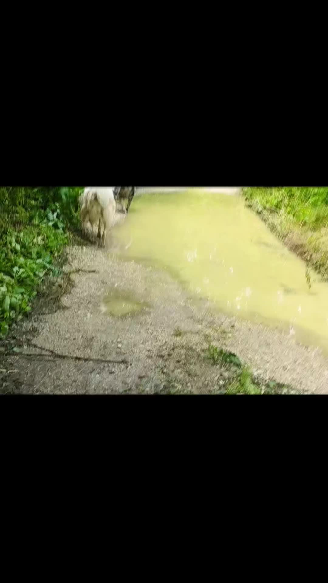 @Marica Fruzzetti392