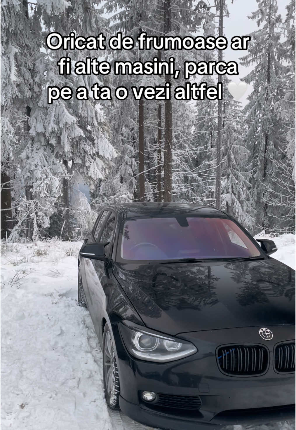 @Codruț