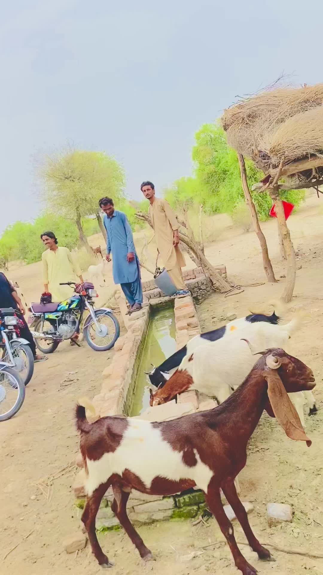 @❤️KING BUGTI 💢
