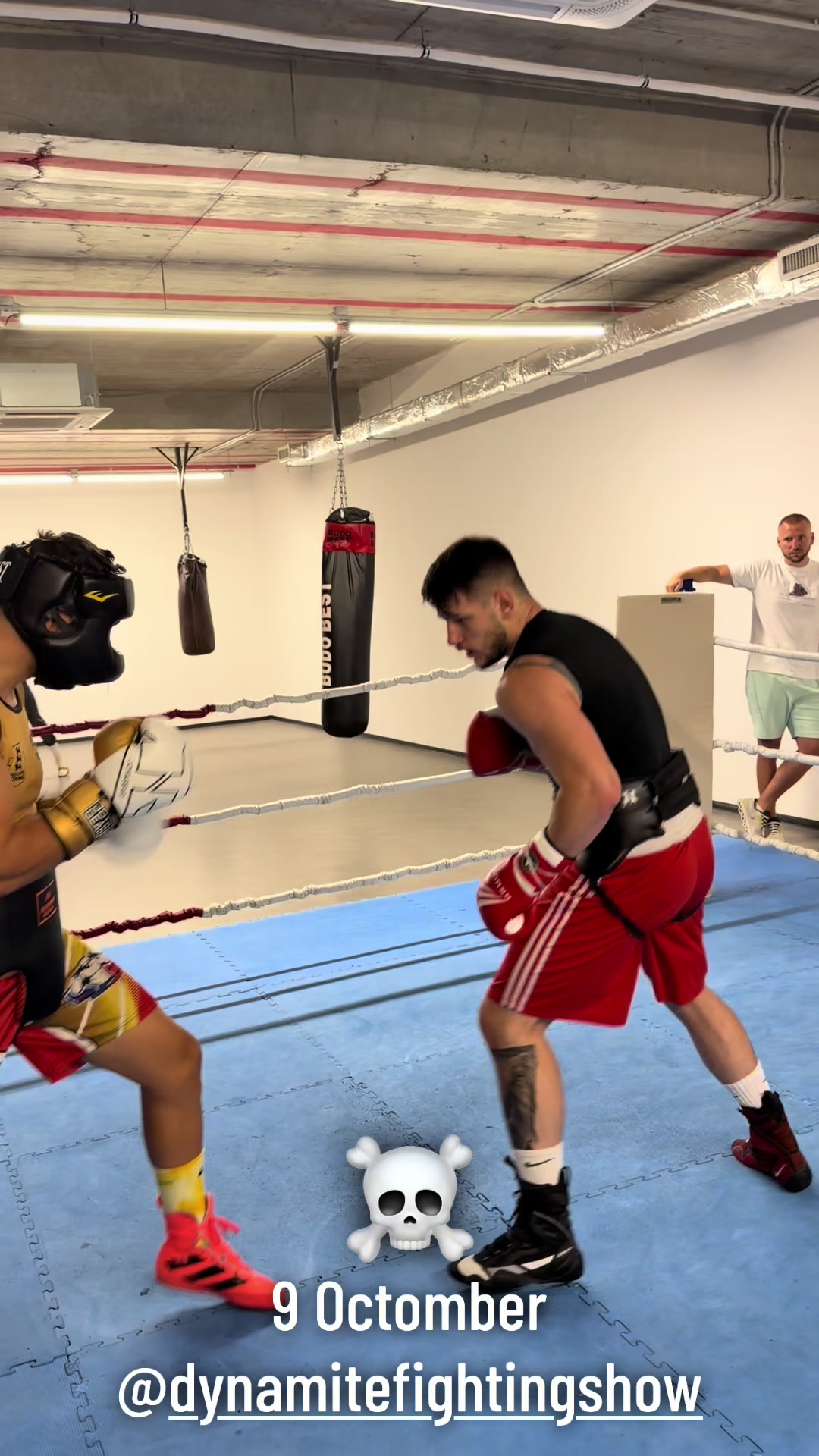@C.S RAPID BUCUREȘTI - BOX 🥊