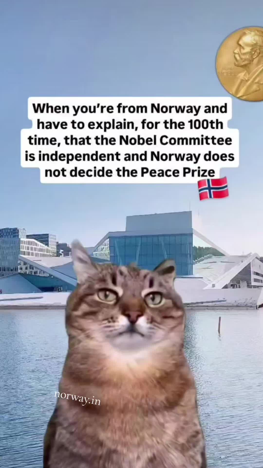 @norway.in