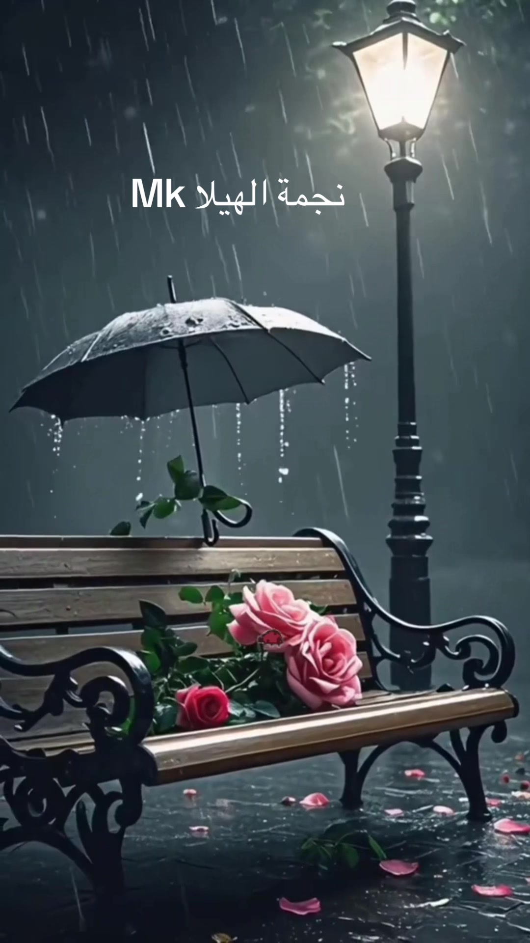 @⭐️⭐️⭐️نجمة الهيلا وبس ⭐️(١)⭐️
