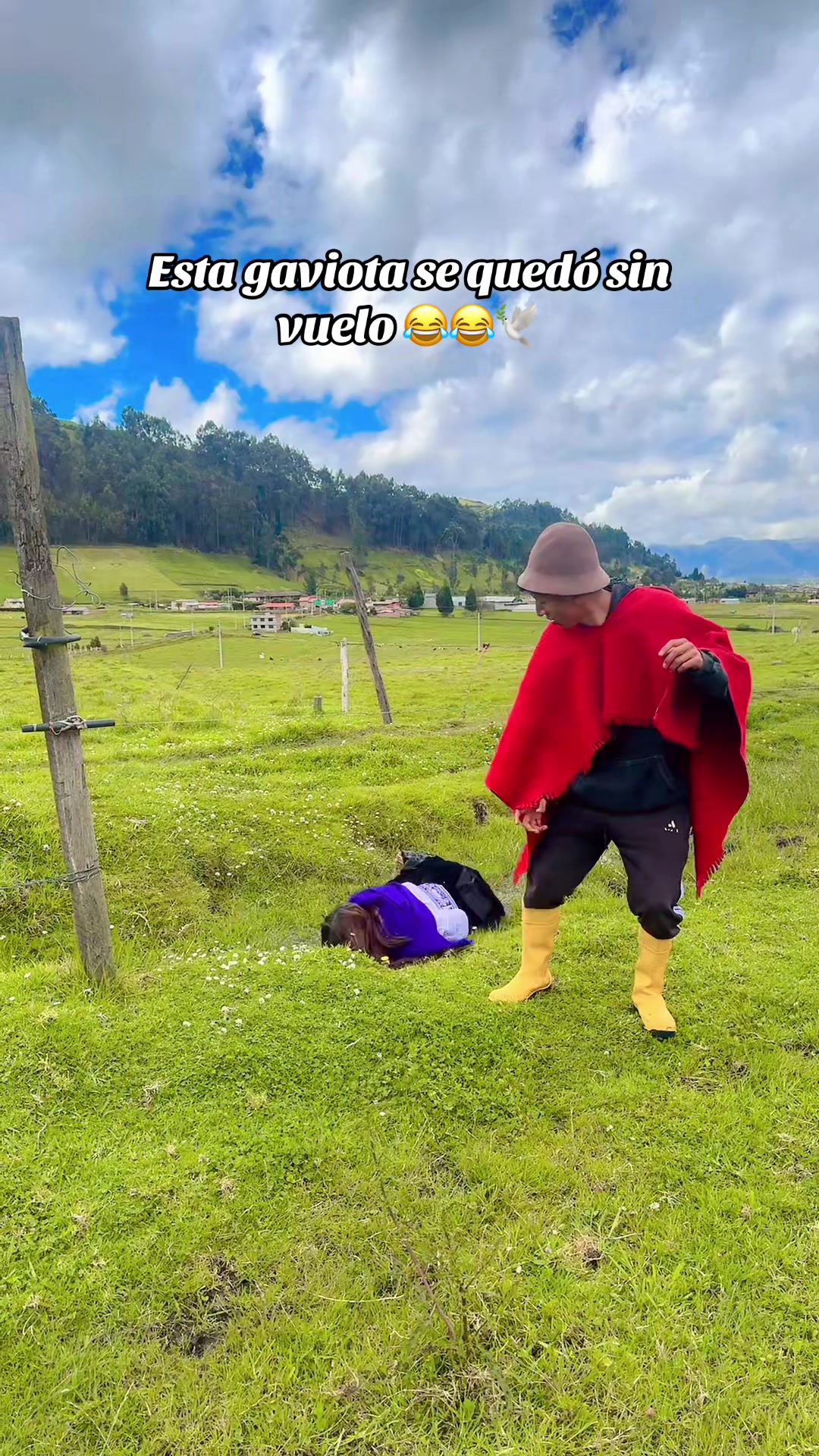 @๐๐ฎ๐ณ ๐๐๐ฅ๐๐โจ
