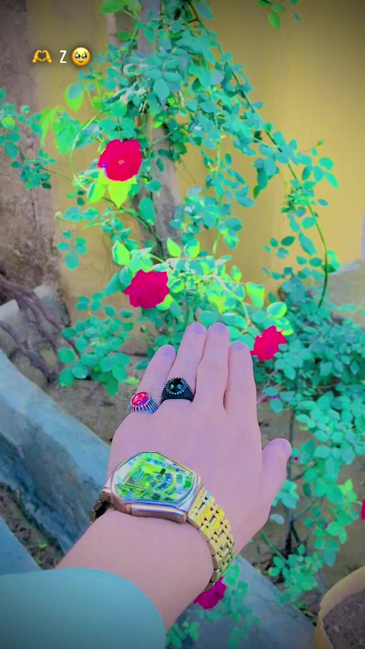 @🌸⃝𝐒𝑯𝐈𝑵𝐖𝑨𝐑𝑰⃝🌸  𝟯𝟏𝟯