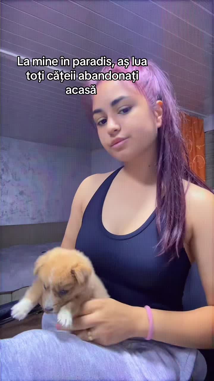@Maria Bontea