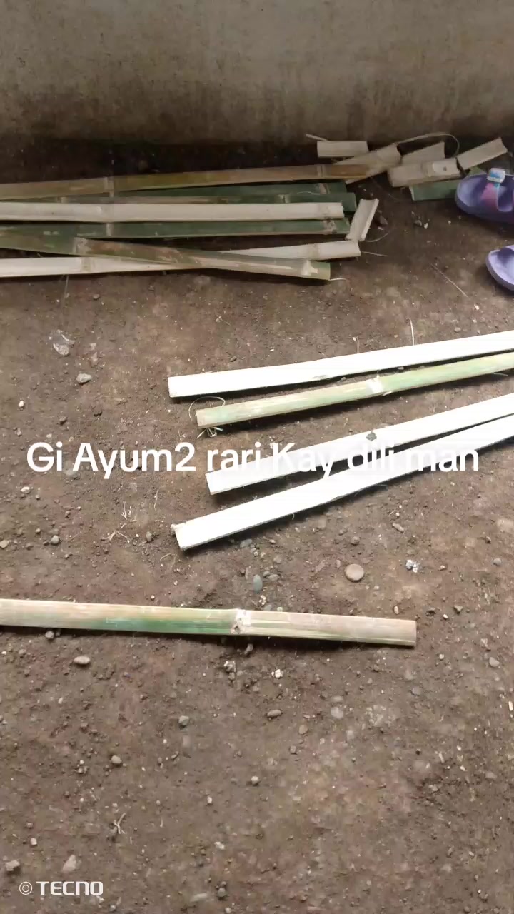 @wildedon vlog