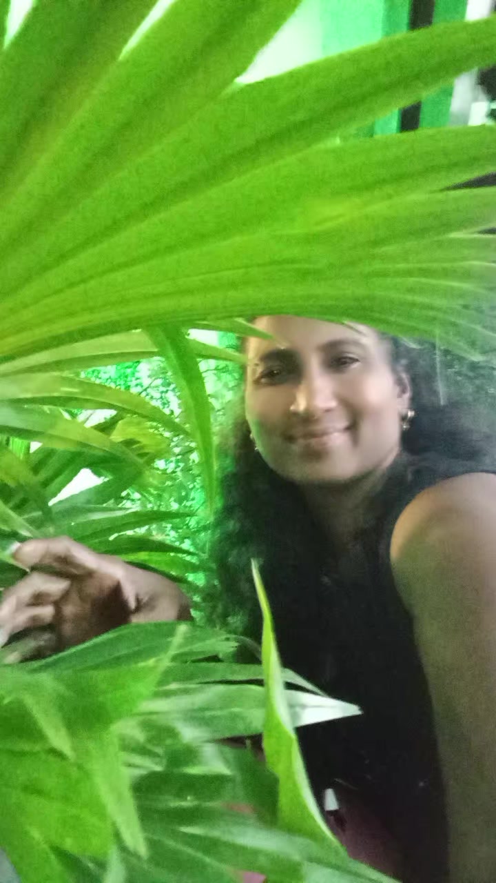 @Thilaka Weerasinghe