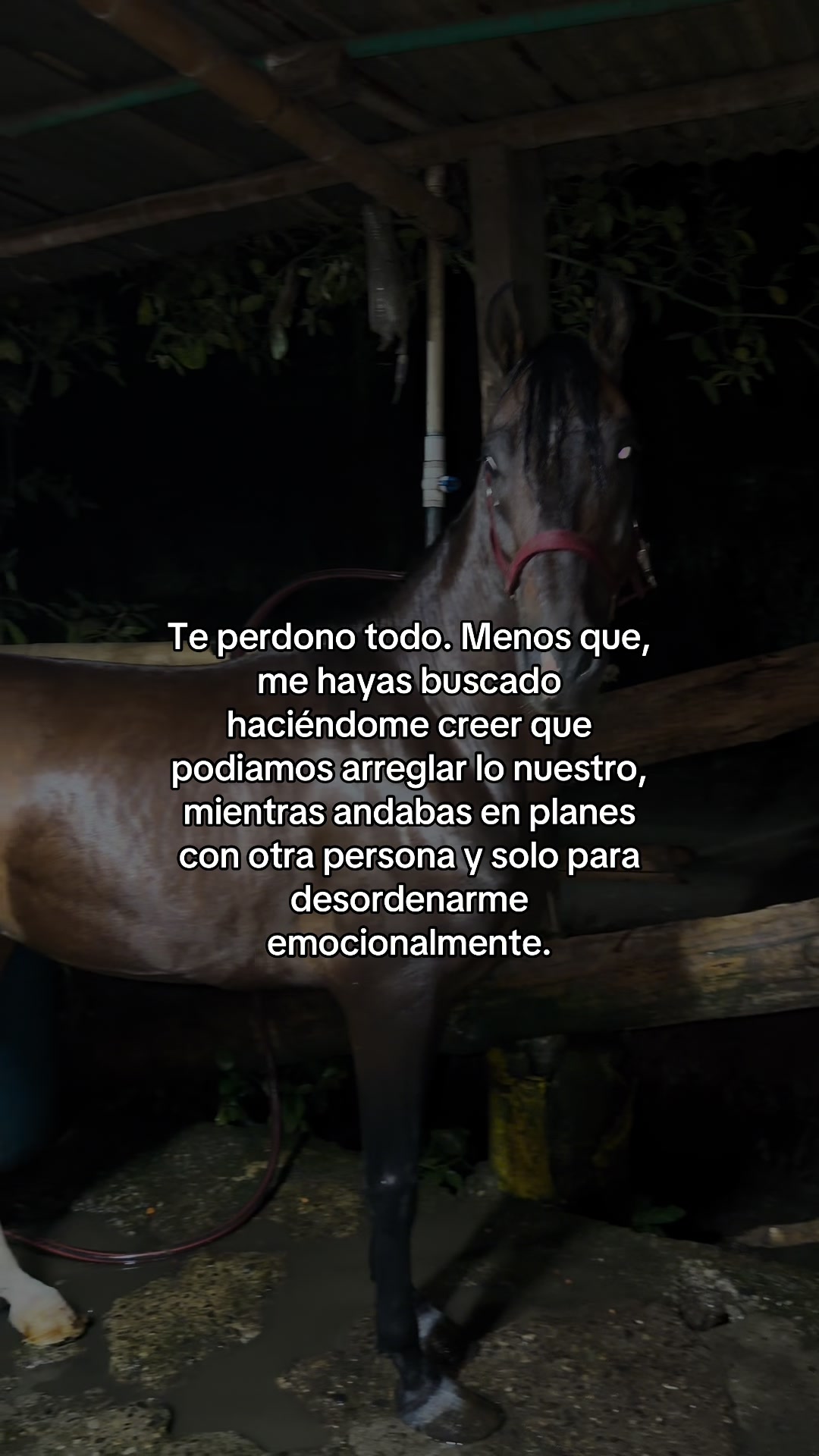 @Paula Garcia