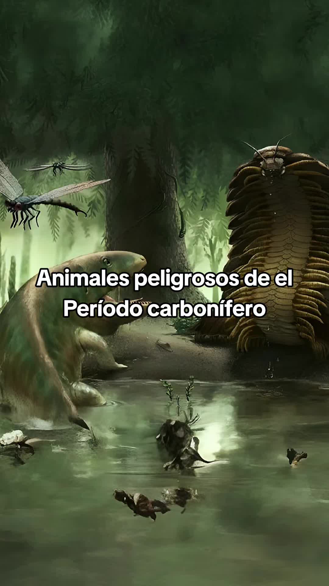 @Viva Historia