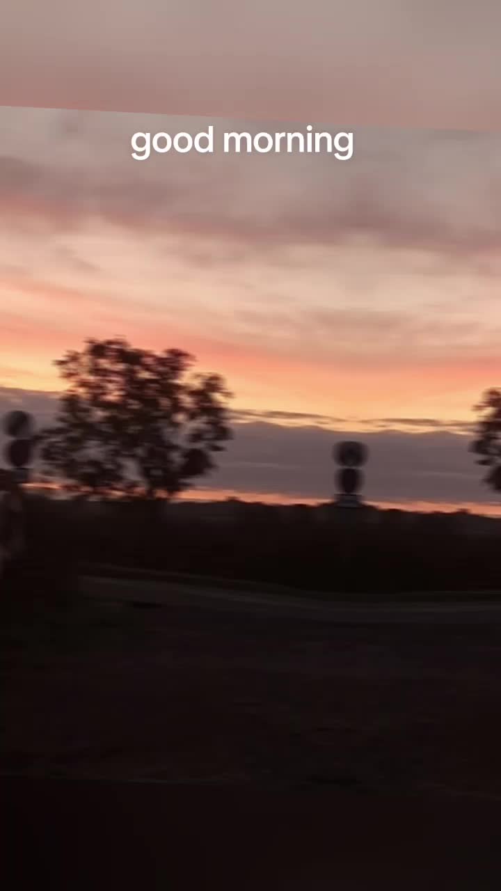 @thefreeroamer