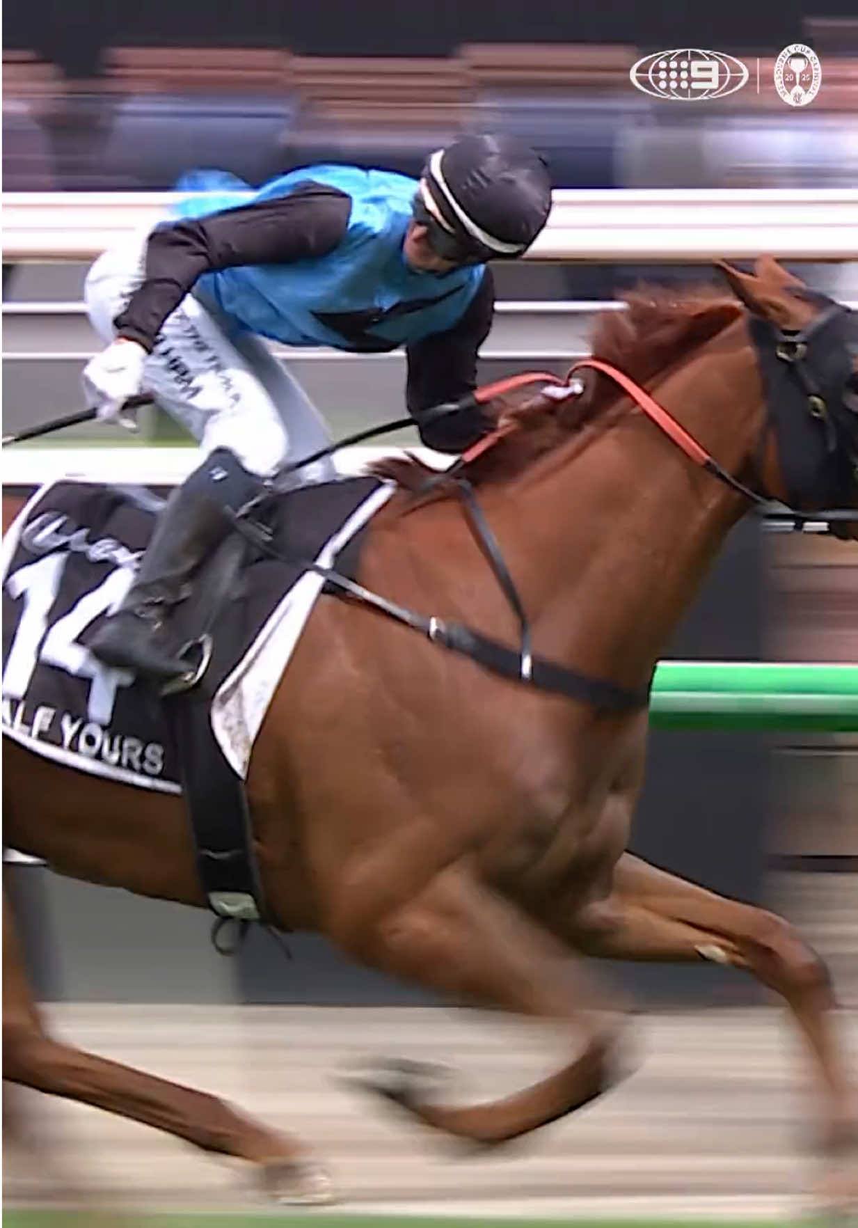 @VRC || Horse Racing