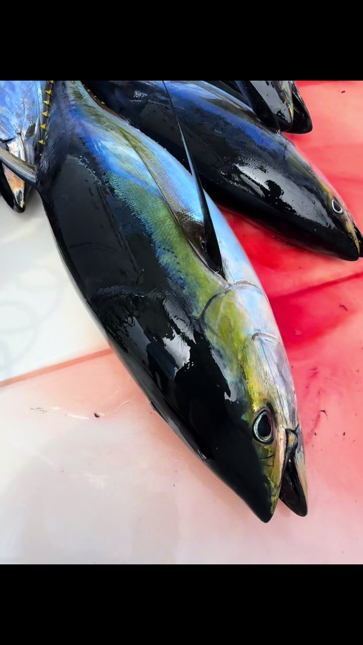 @blackseabass0704