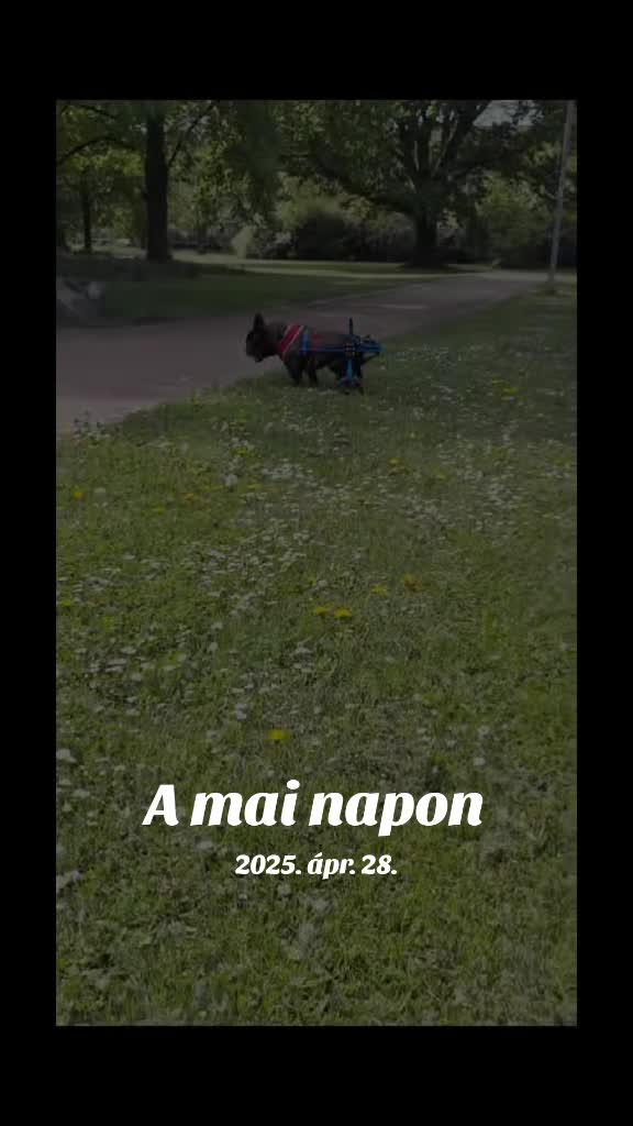 @Judit Katalin Pacz&aacute;r