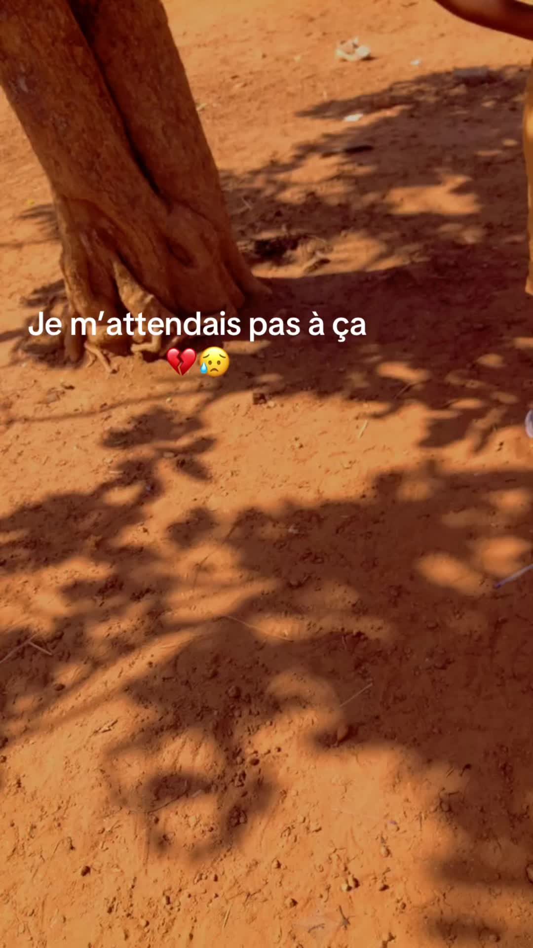 @Koma Nènan Hètto 🇬🇳🇺🇸🦅