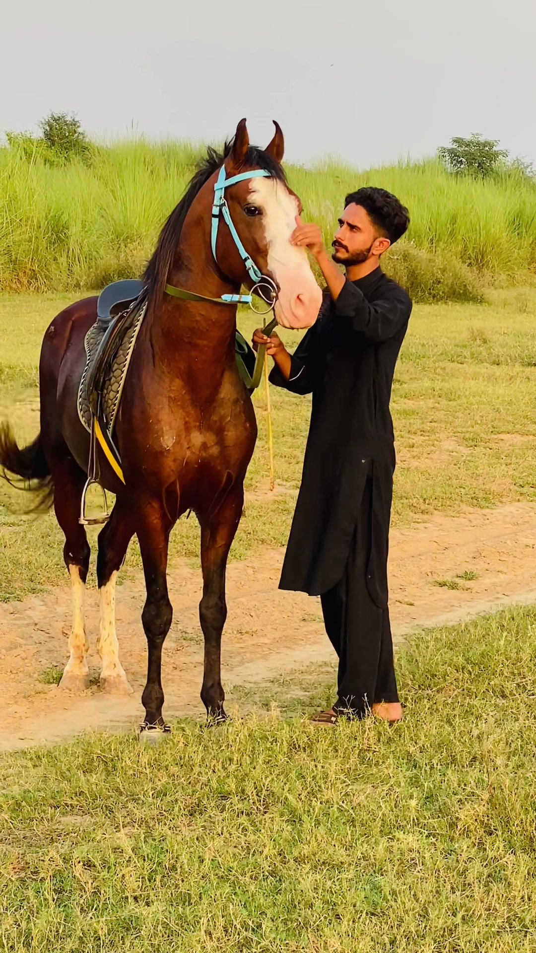 @Ch Hammad bokan ♥️🐎
