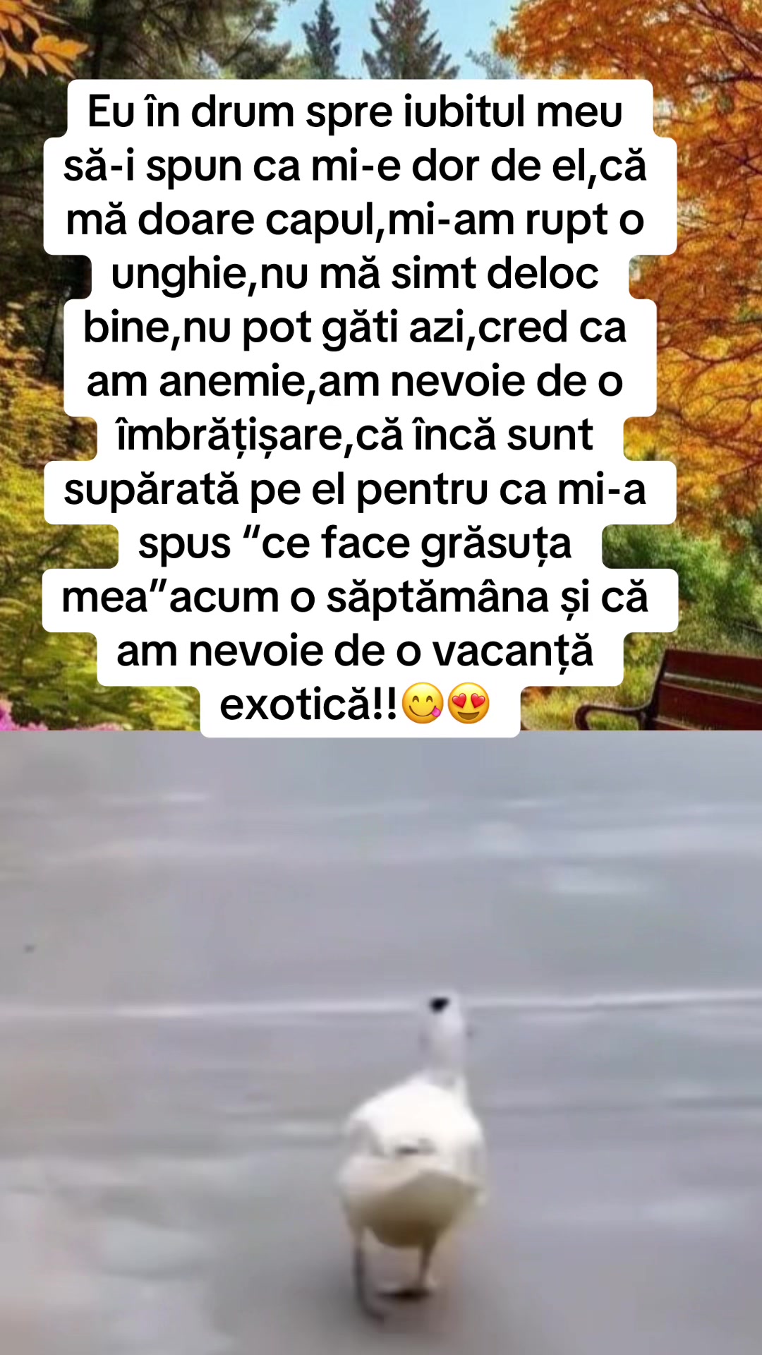 @Mirela