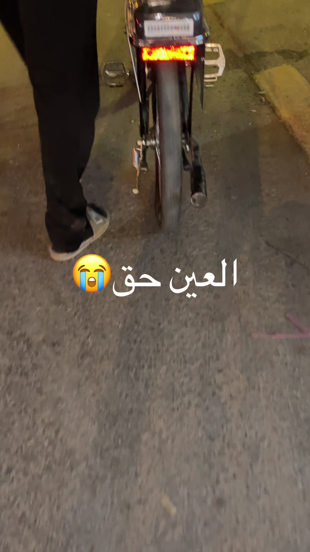 @راعي الأسود 🕶️
