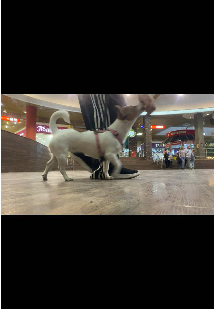 @𝚋𝚞𝚜𝚢𝚊 & 𝚑𝚊𝚙𝚙𝚢