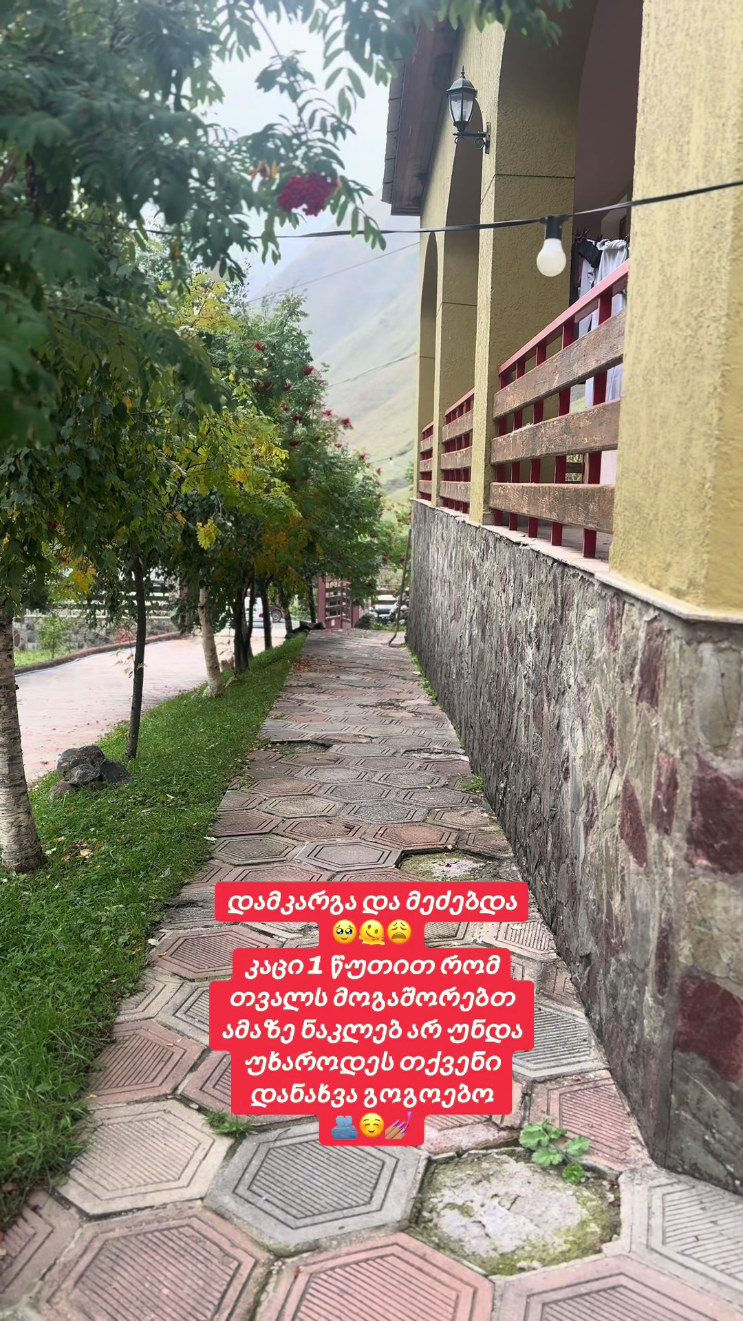 @არაბული🐦🔥