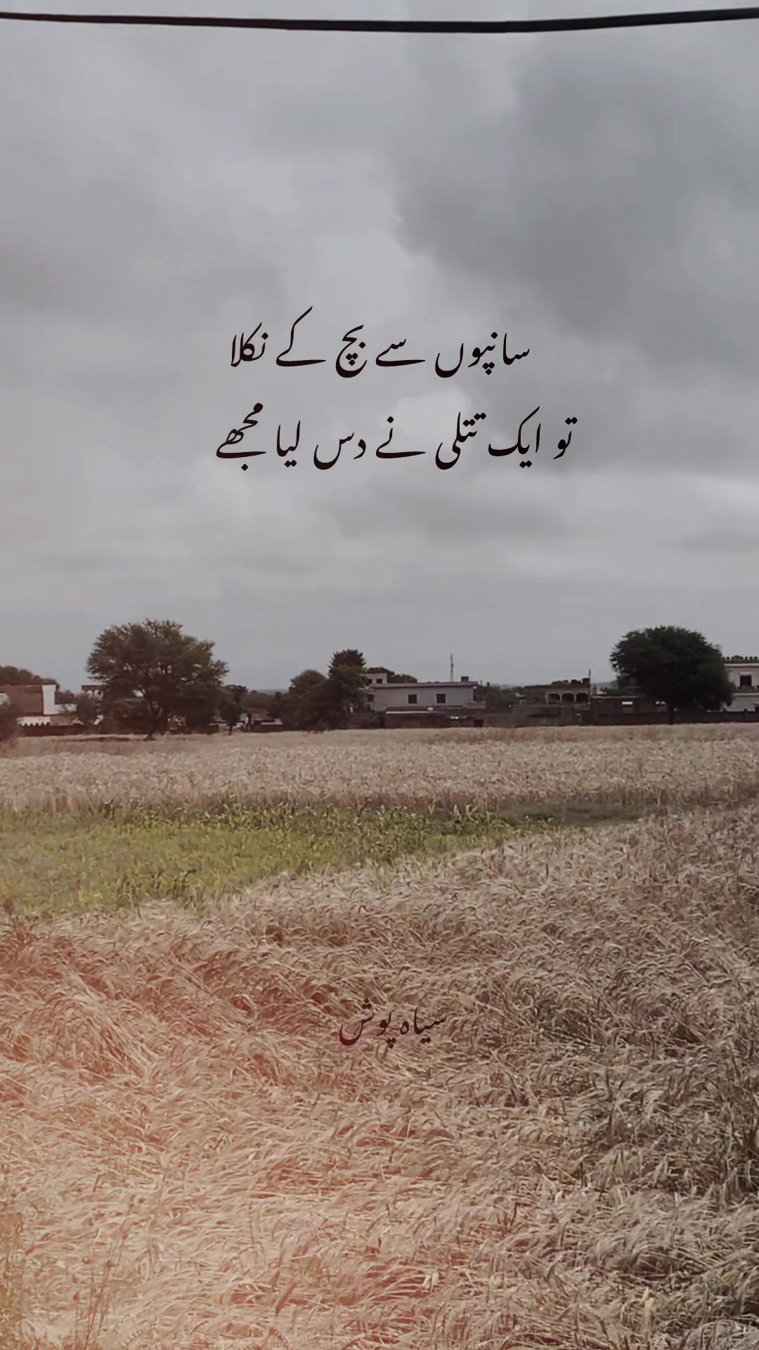 @سیاہ پوش🖤