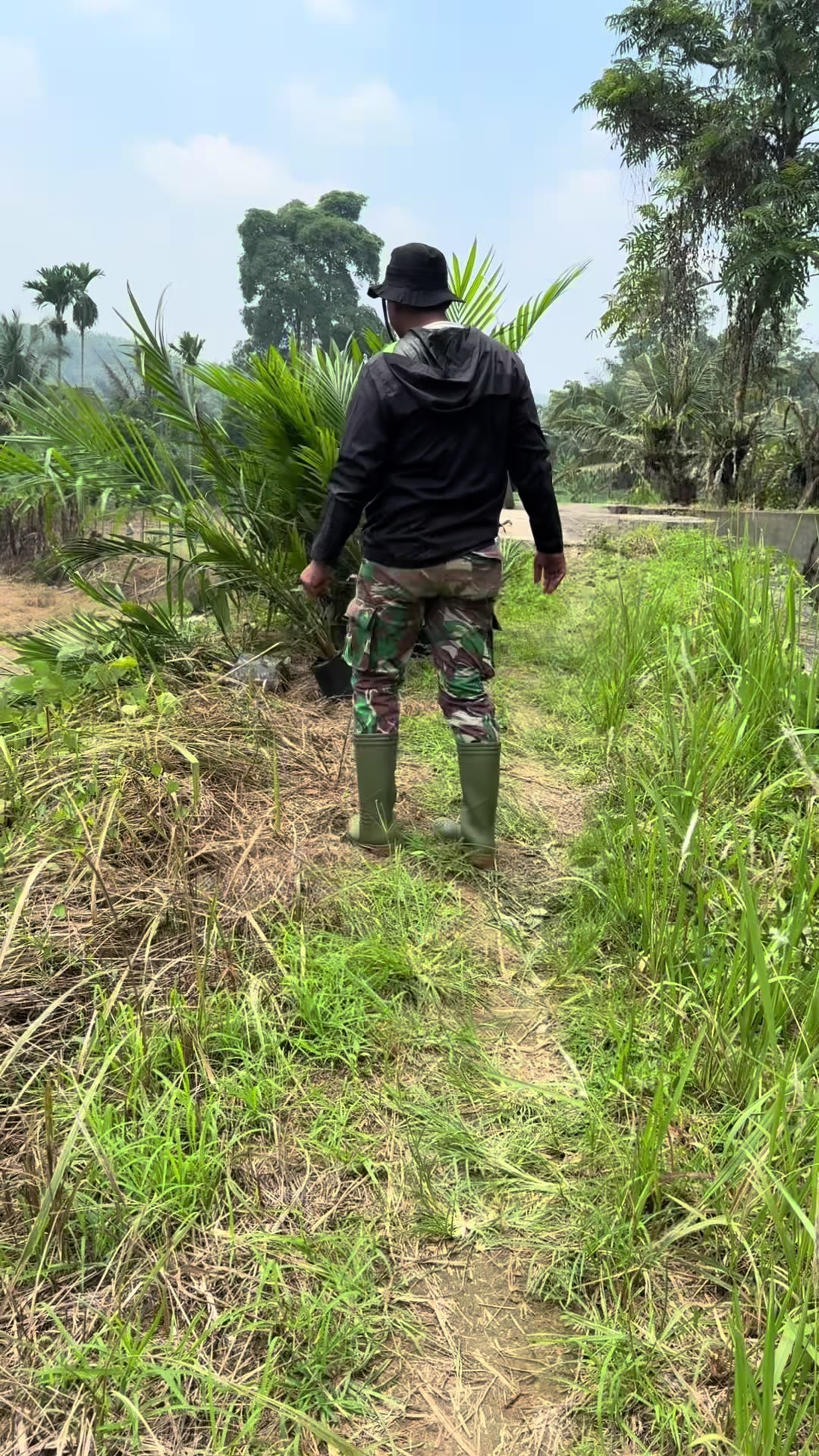 @Petarung Medan🕷️⚡️