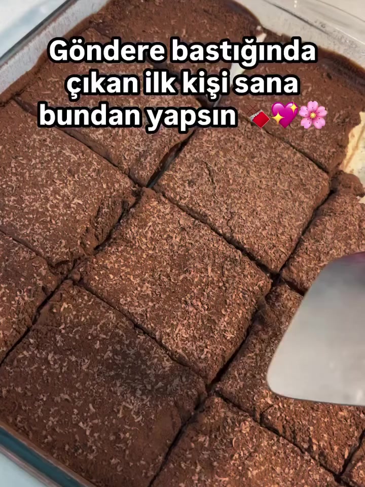@aysece.birblogg