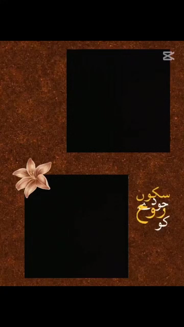 @sajidsindhujutt129