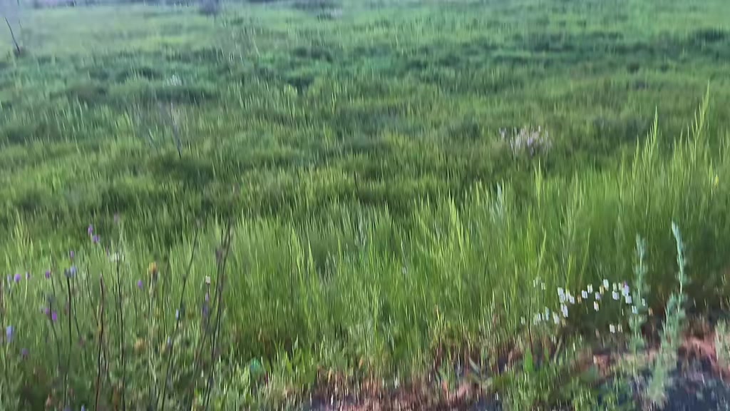 @𝙒𝙪𝙙𝙯𝙮𝙮𝙮🪽