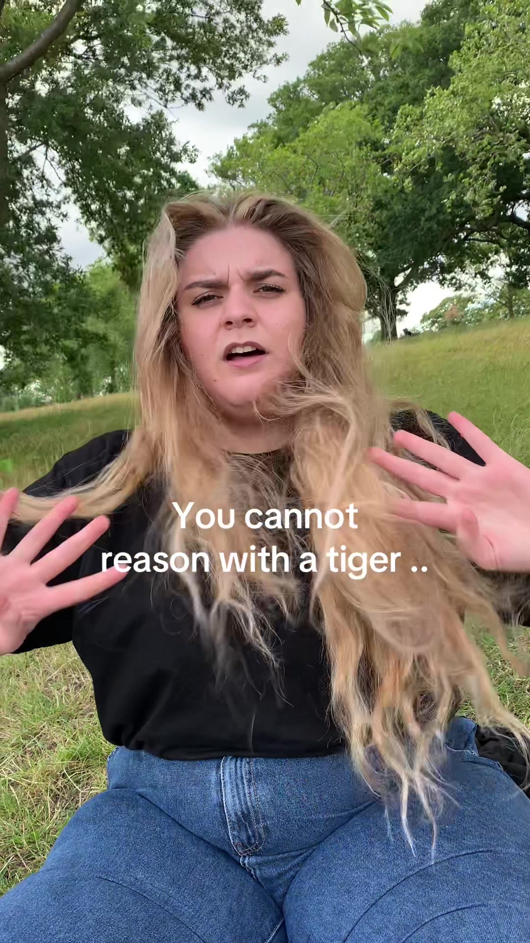 @TheLastLioness