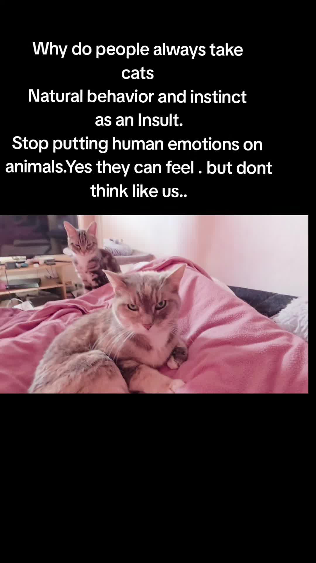 @Girlypops