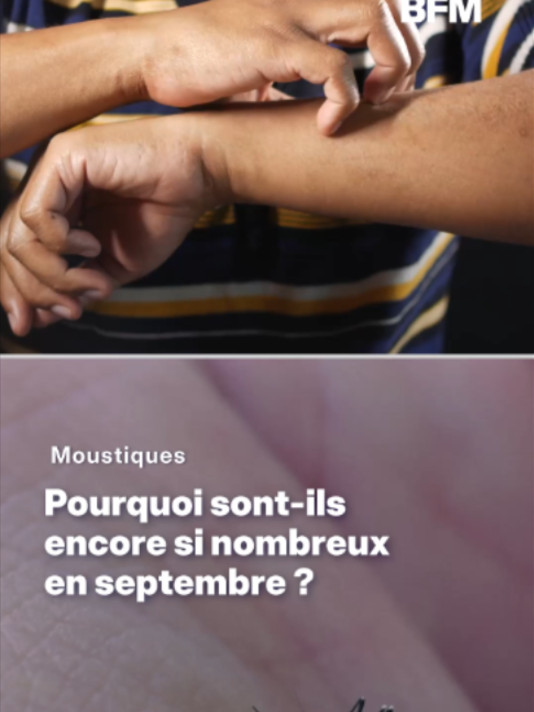 @BFMTV