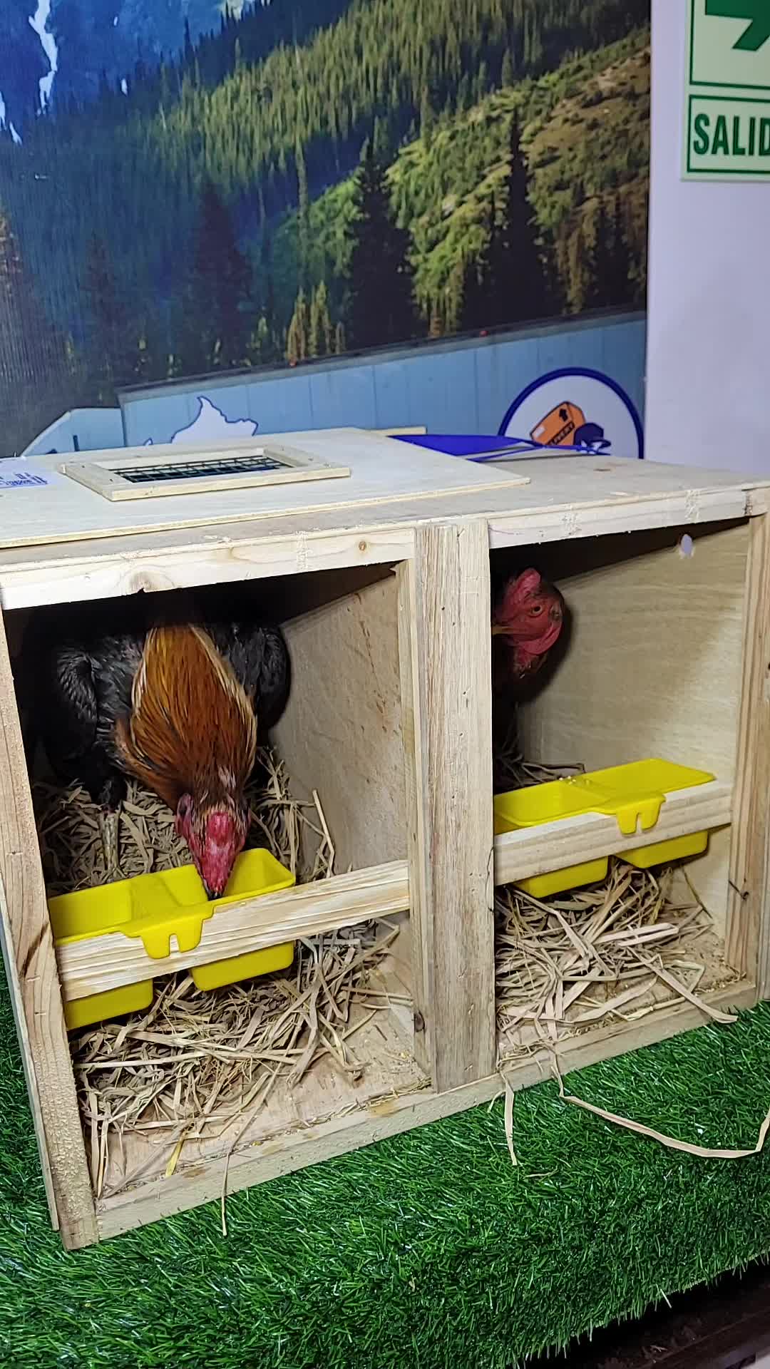 @WACHICARGO Pets