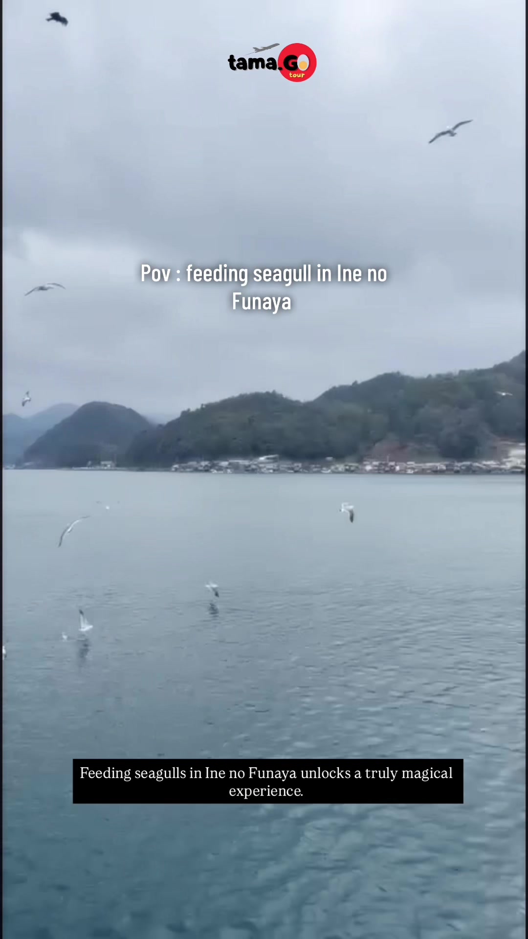 @tama.gotour