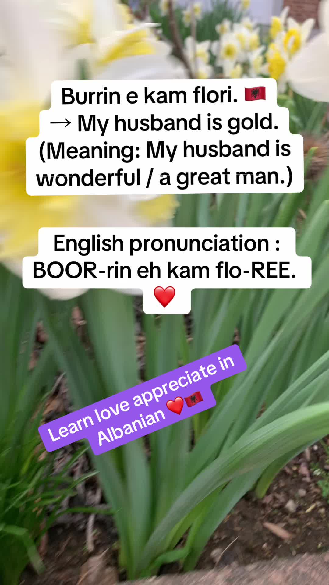 @Albana
