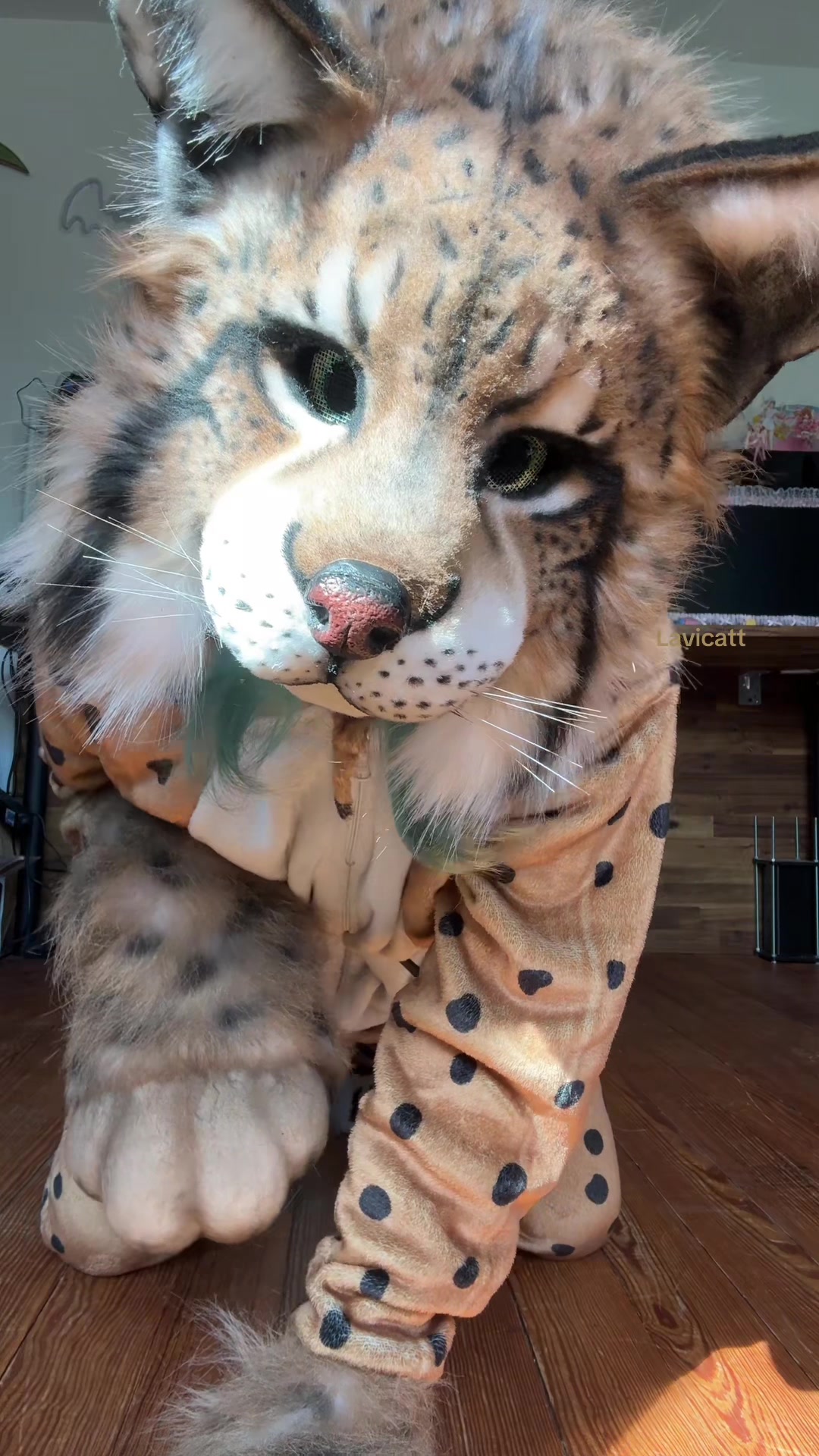@🐾𝐋𝐚𝐯𝐢🧀