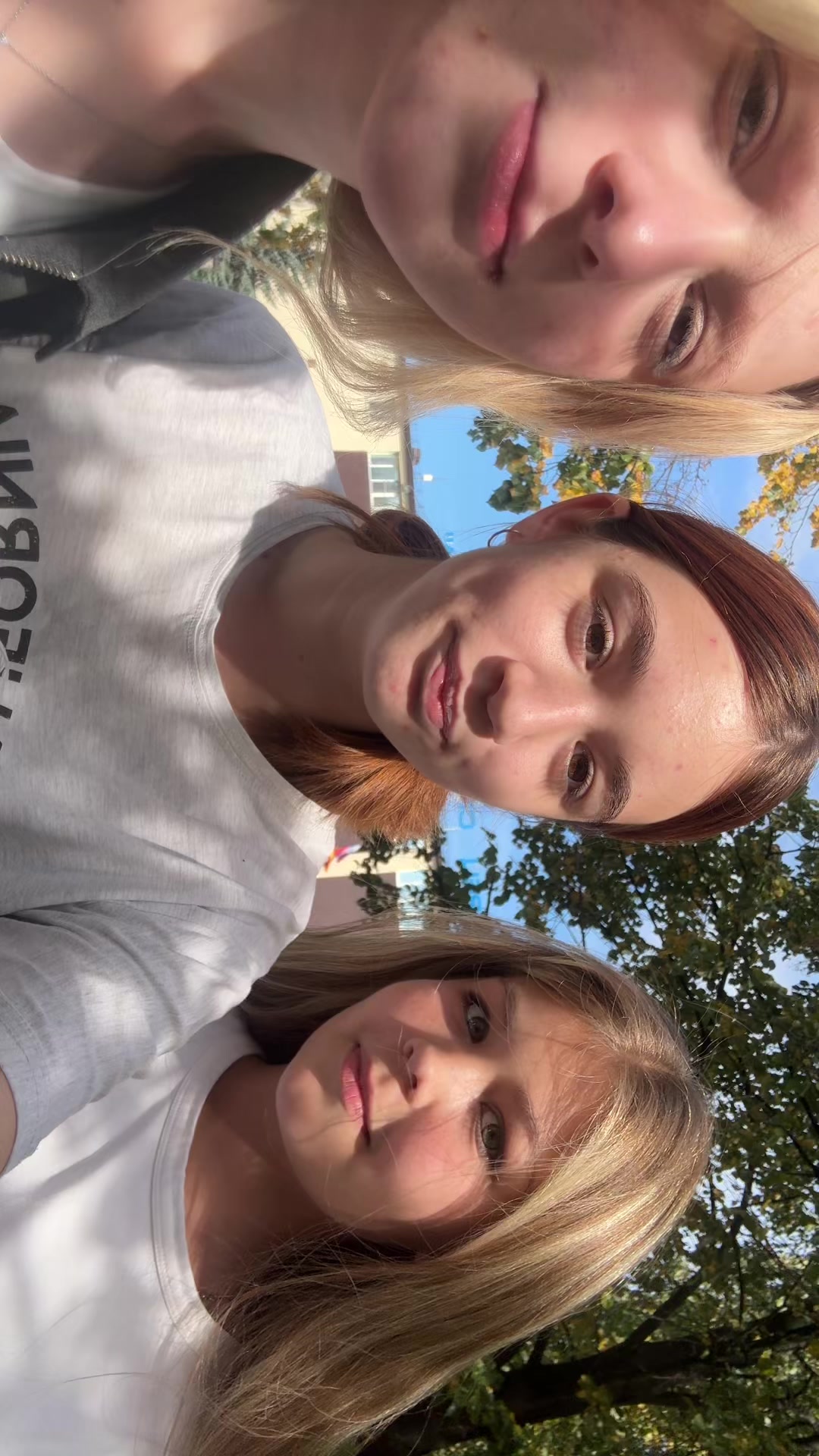 @drassch
