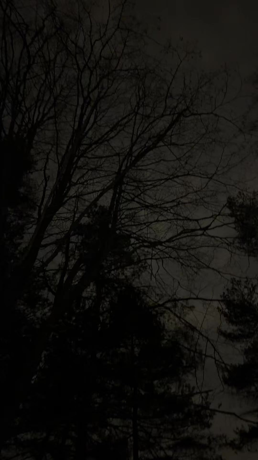 @vt