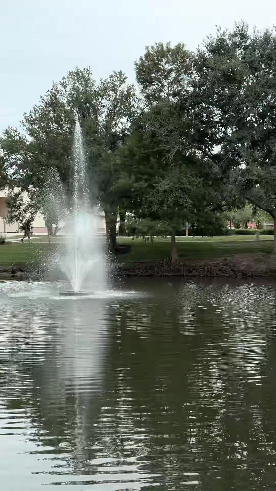 @𝓡𝓮𝓼𝓱𝓶𝓪