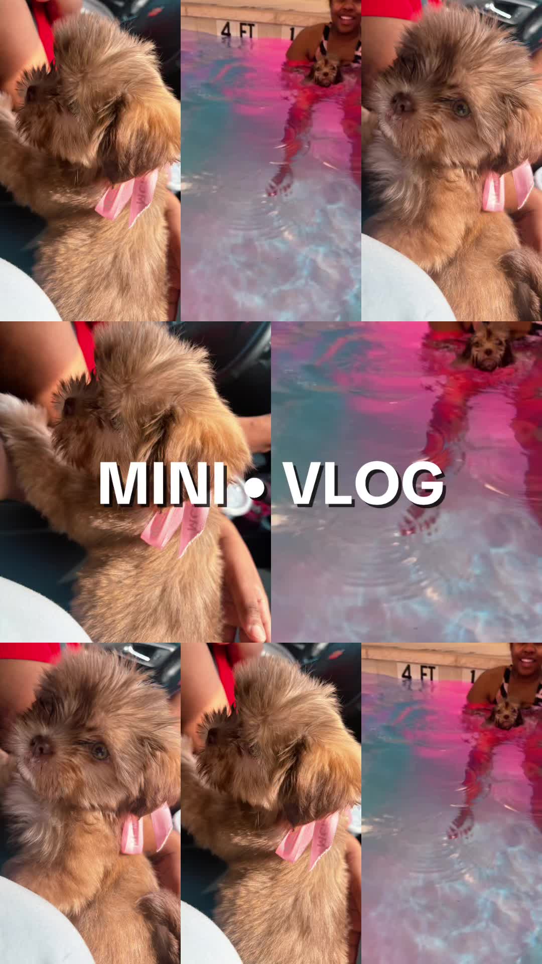 @moniqueepps0