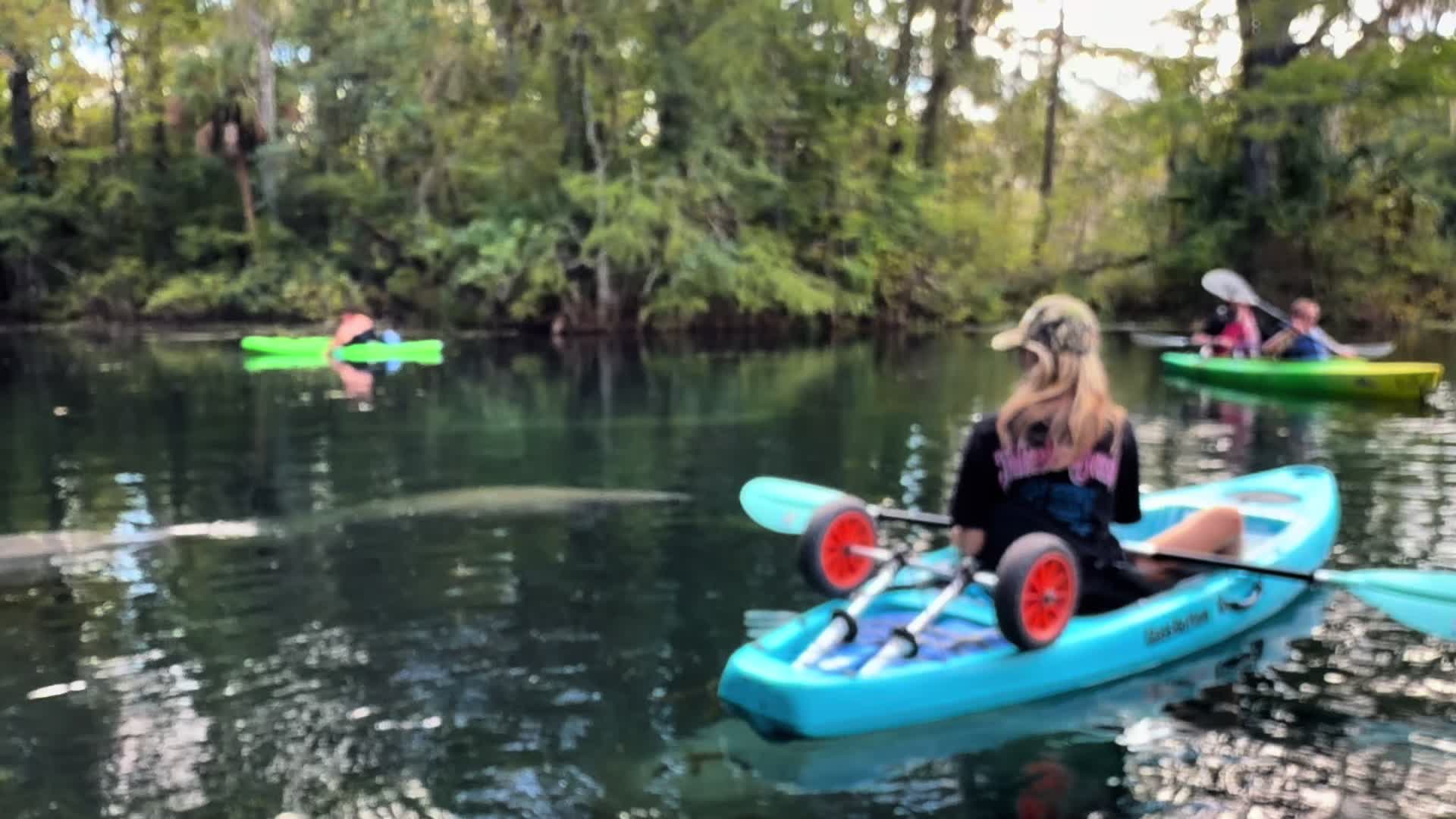 @Wet Rabbit Kayaks